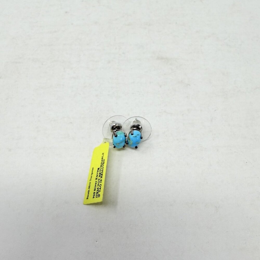 Shop LC South Hill Turquoise Stud Earrings in Platinum Over Sterling Silver 5281